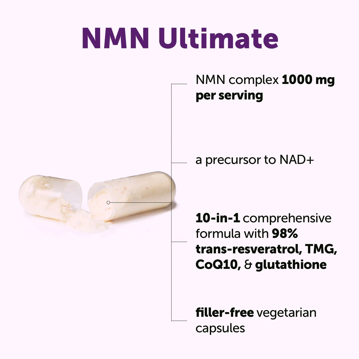 Micro Ingredients NMN Complex 1,000Mg per Serving, 10-1 Complex, Zero Filler, Pure NMN 500Mg with Vitamin C, Resveratrol, Coq10, TMG, Quercetin, & Glutathione | NAD+ Supplement Precursor