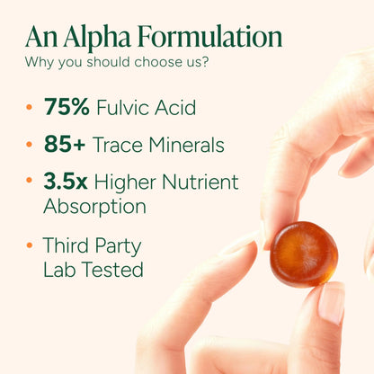Root Labs Alpha 10-In-1 Shilajit Gummies 4000 Mg | New Year New Me Edition | Start 2026 Strong | Energy, Stamina & Focus | Zero Sugar | KSM-66 Ashwagandha, Tongkat Ali, Maca | Vegan | 60 Count | Transform Your Health Goals