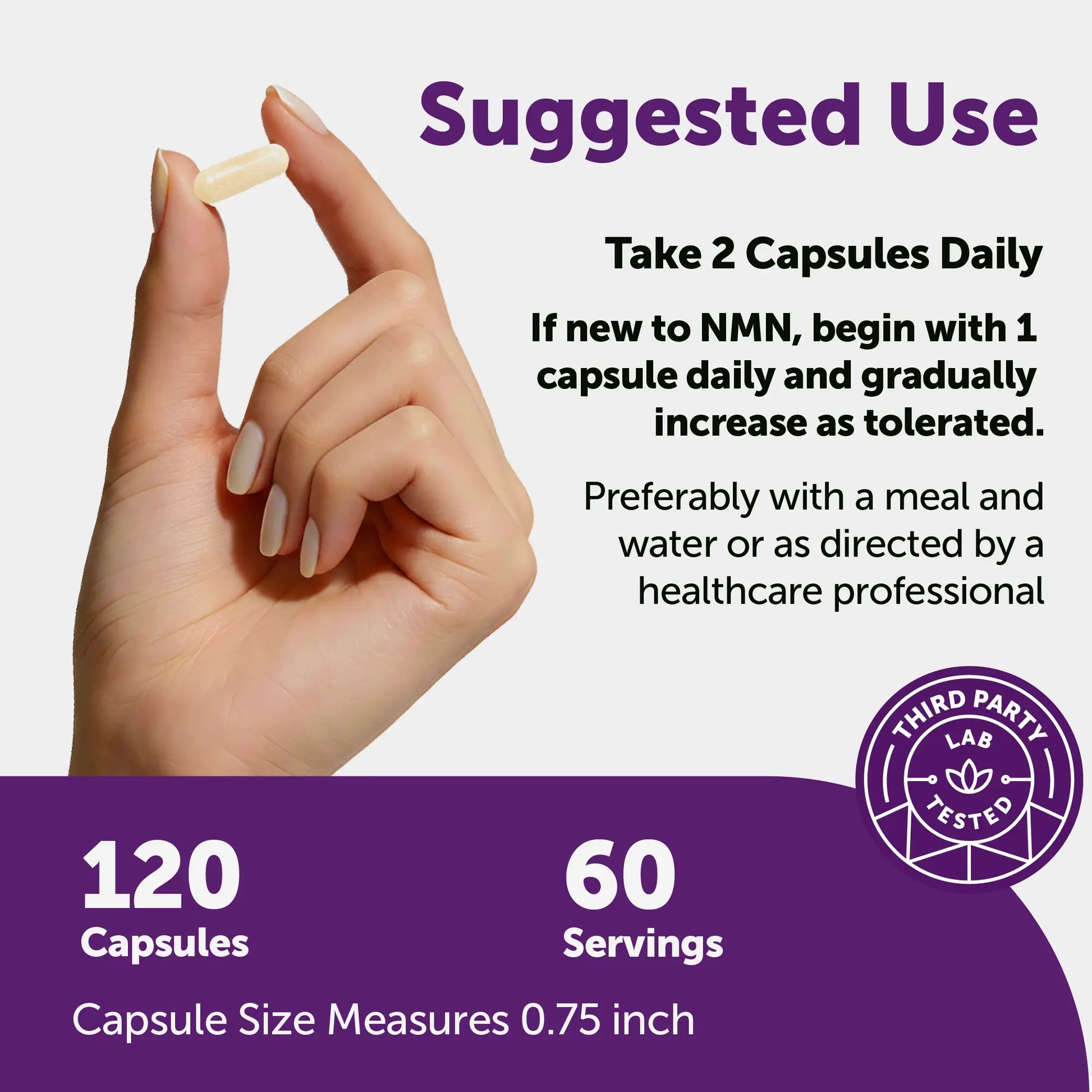 Micro Ingredients NMN Complex 1,000Mg per Serving, 10-1 Complex, Zero Filler, Pure NMN 500Mg with Vitamin C, Resveratrol, Coq10, TMG, Quercetin, & Glutathione | NAD+ Supplement Precursor